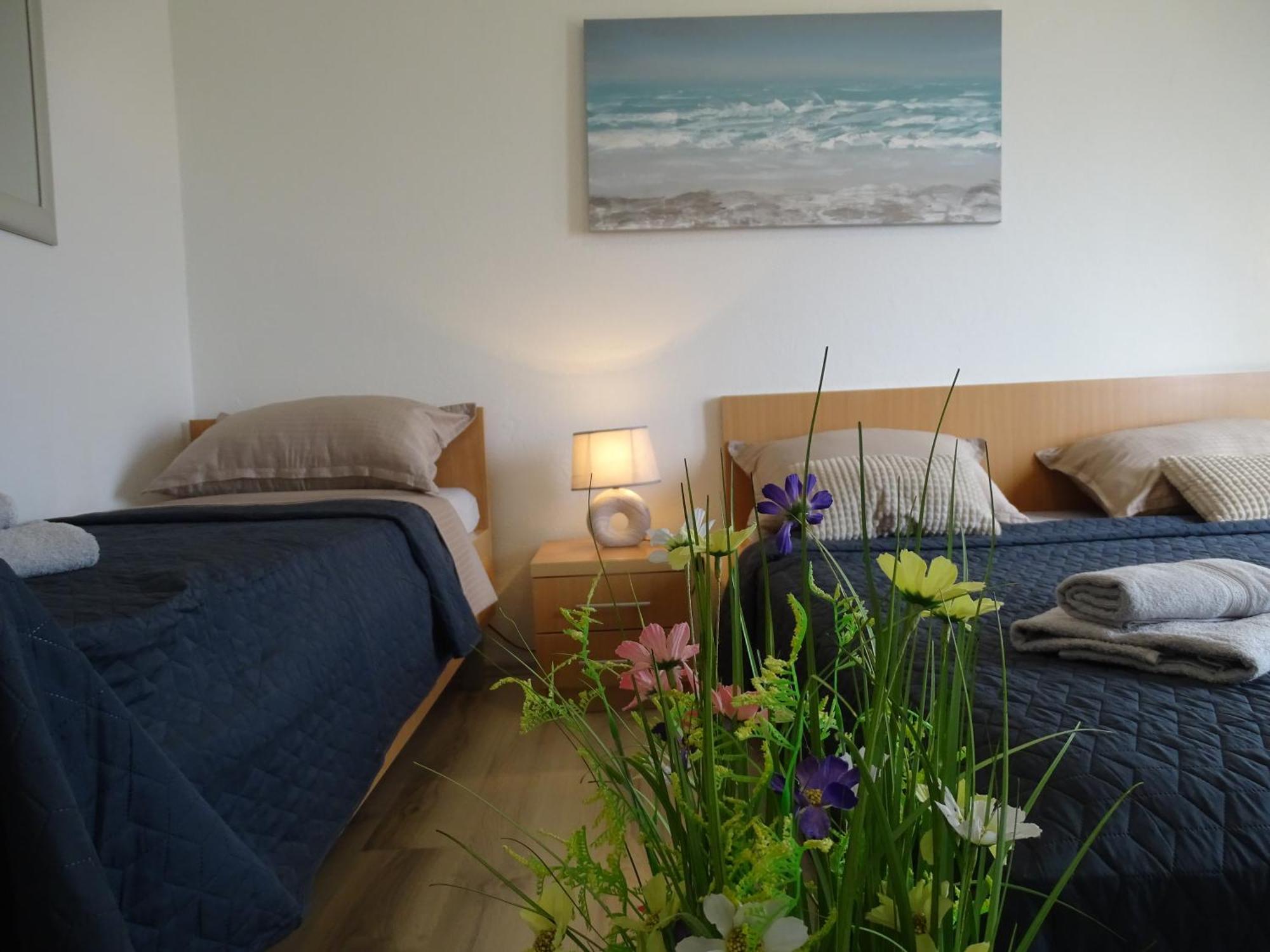 Apartments Sime Dinjiška 外观 照片